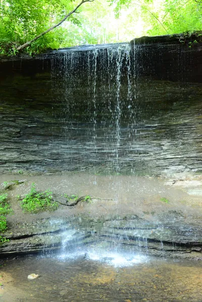 DSC_2848 (Large).JPG